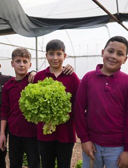 Köy Okulunda Eğitimi Sınıflardan Seralara, Zeytin ve Ceviz Bahçelerine Taşıdılar!