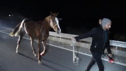 Malatya'da &Uuml;z&uuml;c&uuml; Olay: Milyonluk Taylar Yolda Hayatını Kaybetti!