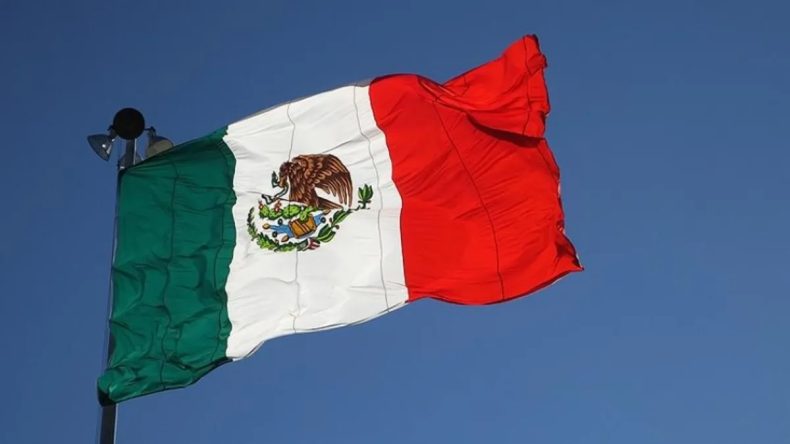 Meksika'da Meclis &Uuml;yeleri Sa&ccedil; Sa&ccedil;a Baş Başa Kavga Etti