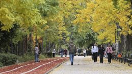 Meteoroloji 18 Aralık Raporunu Yayınladı! Sıcaklıklar, Mevsim Normallerinin &Uuml;zerinde