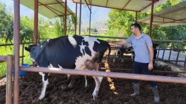 Milas'ta 11 Mahalle Karantina Altına Alındı