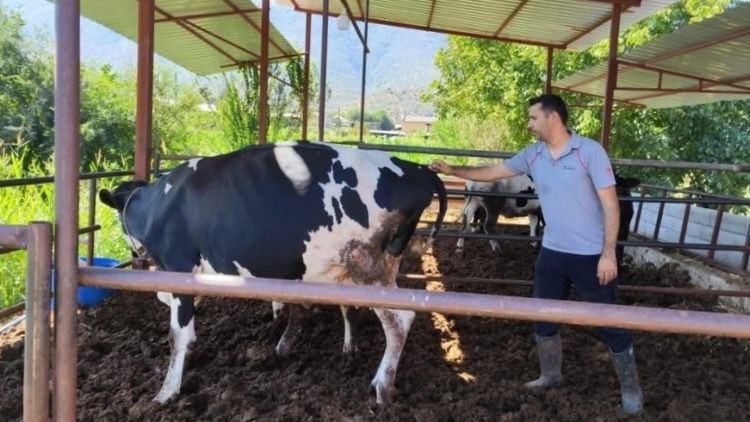 Milas'ta 11 Mahalle Karantina Altına Alındı