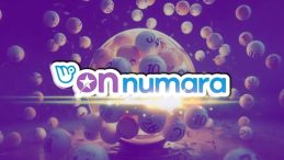 On Numara Sonu&ccedil;ları 1 Aralık 2025 Yayında! Milli Piyango Online On Numara Sonucu Sorgulama Ekranı