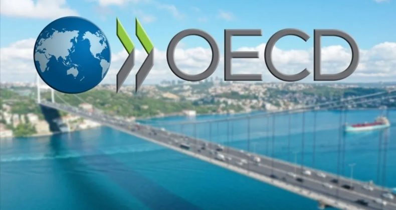 OECD B&uuml;y&uuml;me Tahminlerini Artırdı