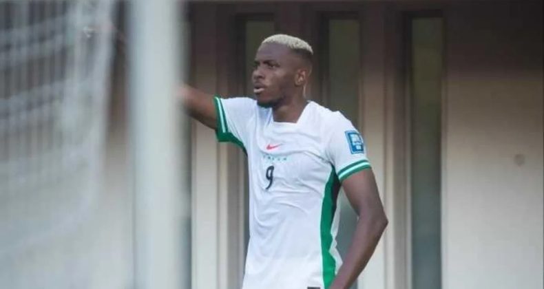 Osimhen, Onuachu ve Ndidi, Nijerya'nın Afrika Kupası kadrosunda yer aldı