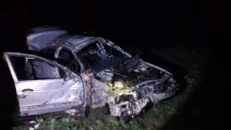 Otomobil Domuza &Ccedil;arptı: 1 Kişi Hayatını Kaybetti, 1 Kişi Yaralandı