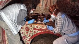 Papa Ziyaret Etti, Ayin Gerçekleştirdi | İznik’te Önemli Bir Keşif: Nadir Görülüyor ve Anadolu'da Tek Olabilir