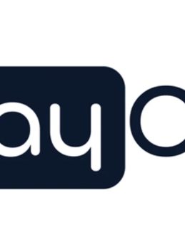 PAYCO Elektronik Para'ya Soruşturma: 28 Zanlı Yakalandı!