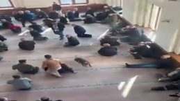 Pitbull Cami Cemaatinin Arasına Daldı; Sahibine Adli ve İdari İşlem Yapıldı