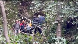 Rize'de Kesilen Ağa&ccedil; Adamın &Uuml;zerine D&uuml;şt&uuml;: Yaralı Kurtarıldı!