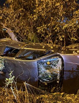 Sakarya'da Ticari Ara&ccedil; ile Otomobil &Ccedil;arpıştı: 5 Yaralı