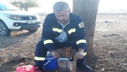 Şanlıurfa'da Elektrik Akımına Kapılan İş&ccedil;i Hayatını Kaybetti