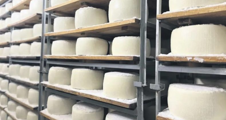 Şanlıurfa&rsquo;nın Peyniri ABD Sofralarında