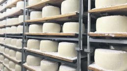 Şanlıurfa&rsquo;nın Peyniri ABD Sofralarında