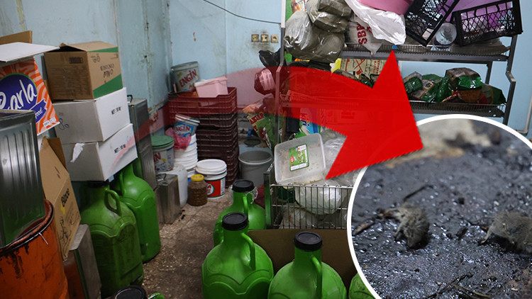 Şaşkınlık Yaratan Görüntüler: Üretim Tesisinde Tüyler Ürperten Manzaralar