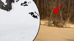 Şiddetli Kar Yağışı Sonrası Şehir Merkezine Yöresel Kaçışlar Yaşanıyor!