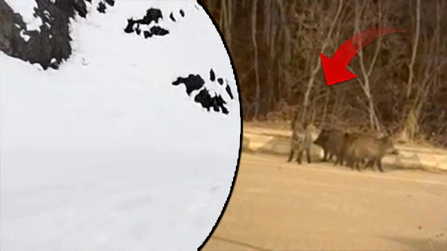 Şiddetli Kar Yağışı Sonrası Şehir Merkezine Y&ouml;resel Ka&ccedil;ışlar Yaşanıyor!