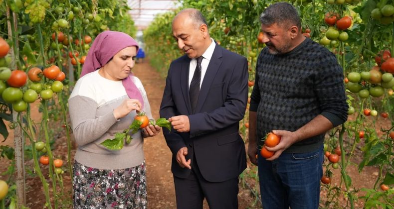 ŞOK Marketler&rsquo;de yeni d&ouml;nem: Meyve-sebzede pestisit kontrol s&uuml;reci bir adım ileri taşındı