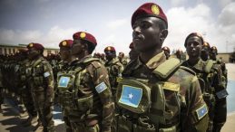 Somali'de &Ouml;nemli Ter&ouml;rle M&uuml;cadele Operasyonu: 7 Ter&ouml;rist Ele Ge&ccedil;irildi