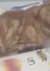 SON DAKİKA: Sultangazi'de şok eden olay! Zincir markette iğren&ccedil; anlar kaydedildi