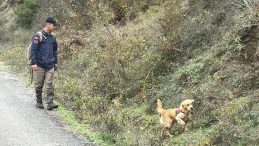 SON DAKİKA&hellip; Bartın'da 78 Yaşındaki Zehra G&uuml;nay Kaybolduktan Sonra Cansız Bedeni Bulundu!