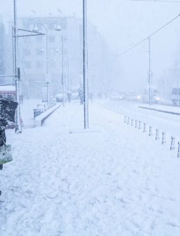 SON DAKİKA&hellip; İzlanda Soğukları İstanbul&rsquo;u Vurdu! Meteoroloji ve Valilikten Kritik Uyarılar: İşte Kar Yağışının Etkili Olacağı İl&ccedil;eler