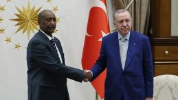 Sudan&rsquo;da Barış İ&ccedil;in İşbirliği