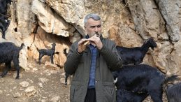 S&uuml;r&uuml;s&uuml;n&uuml; Kaval Melodileriyle Y&ouml;netiyor! Atalarının Geleneğini Yaşatıyor