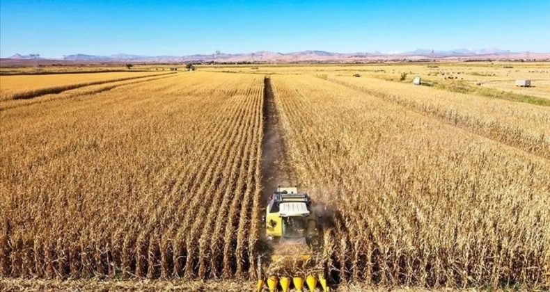 Tarımsal Girdi Fiyat Endeksi Ekim Ayında Y&uuml;kseldi