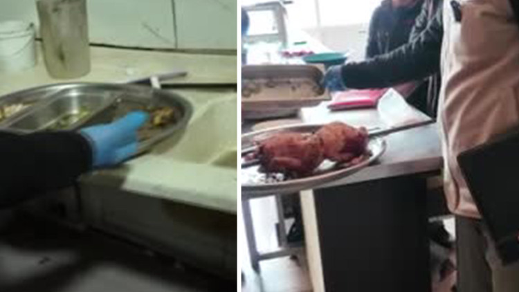 Tavuk D&ouml;ner Satışı Yapan İşletmede Şok Edici G&ouml;r&uuml;nt&uuml;ler! Zabıtalara G&ouml;re Korkun&ccedil; Bir Koku Var