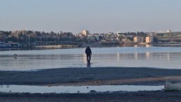Tekirdağ&rsquo;da Endişe Yaratan Deniz &Ccedil;ekilmesi