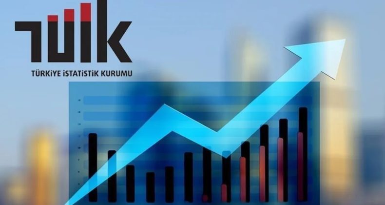 TÜİK Çalışanlarından Uluslararası Başarı