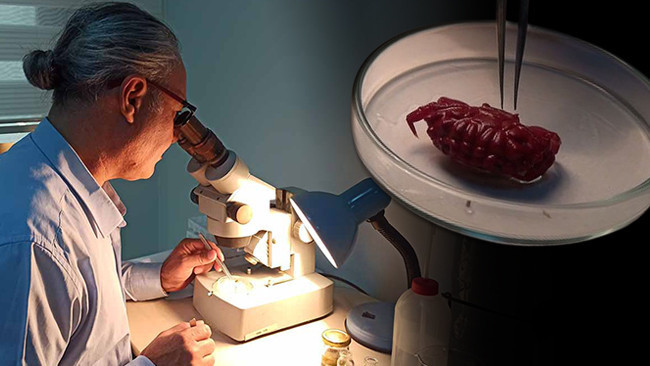 T&uuml;rkiye Kıyılarında İlk Kez G&ouml;r&uuml;ld&uuml;! '2 Santimetre B&uuml;y&uuml;kl&uuml;ğ&uuml;nde Pop&uuml;lasyonu Artacak'