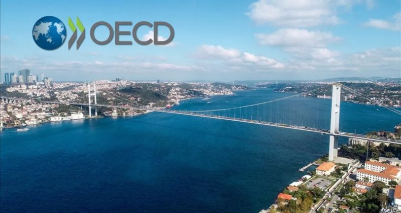 T&uuml;rkiye, OECD'nin En Hızlı B&uuml;y&uuml;yen 4. Ekonomisi