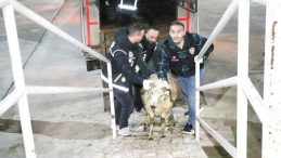 Uyuşturucu Ka&ccedil;ak&ccedil;ılığının Yeni Y&ouml;ntemi