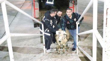 Uyuşturucu Ka&ccedil;ak&ccedil;ılığının Yeni Y&ouml;ntemi