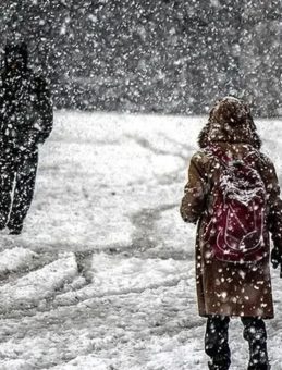 Van'da Yarın Okullar Tatil Mi? 17 Aralık Çarşamba Günü Okul Durumu Açıklandı