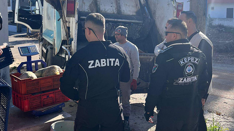 Vatandaşa Yedireceklerdi: Zabıtalar Tarafından Yakalandı ve İmha Edildi