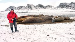 Yunus&rsquo;un Vahşi D&uuml;nyası