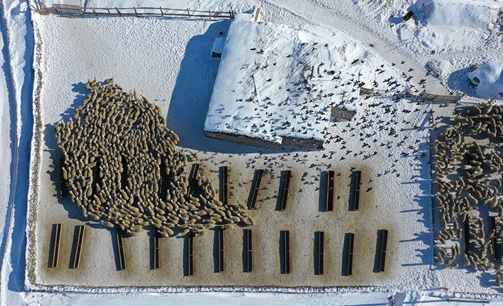 'Bunu burada başaramazsınız' s&ouml;zlerine kulak asmadı! Devlet destekleriyle işini 6 kat artırdı
