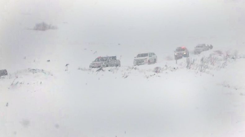 2 Bin 300 Rakımda Can Pazarı: 3 &Ccedil;obanın &Uuml;zerine &Ccedil;ığ D&uuml;şt&uuml;