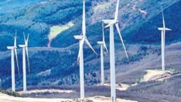 6 R&uuml;zg&acirc;r Santralinden 208 Milyon Euro Katkı