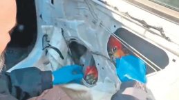 66 Bin Uyuşturucu Hap Ele Ge&ccedil;irildi