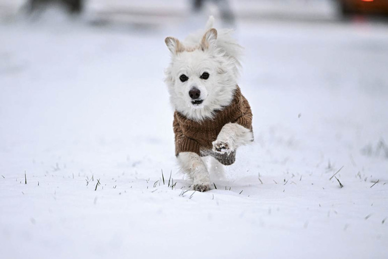 İstanbul Kar Yağışı