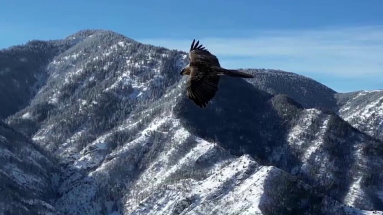 Uzundere Doğal Güzellikleri