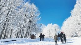 70 İl Dondu, 36 İl'de Okullar Tatil Edildi