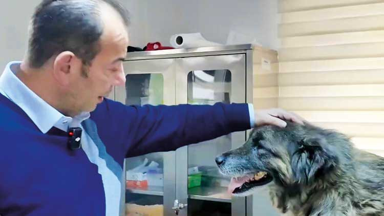 Acı &Uuml;st&uuml;ne Acı &Ccedil;ekmiş