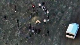 Afyonkarahisar'da Jandarma, Dronla K&ouml;pek D&ouml;v&uuml;ş&uuml;n&uuml; Belirledi: 14 G&ouml;zaltı