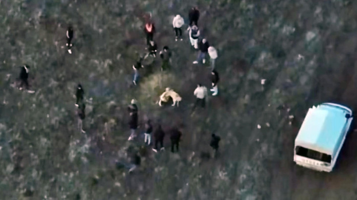 Afyonkarahisar'da Jandarma, Dronla K&ouml;pek D&ouml;v&uuml;ş&uuml;n&uuml; Belirledi: 14 G&ouml;zaltı