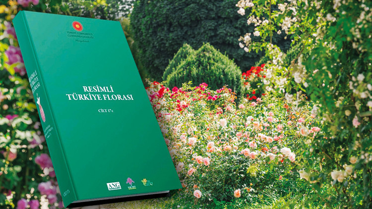 Anadolu Bitki Cenneti Ortaya &Ccedil;ıktı